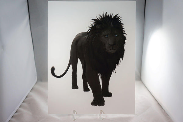Black Lion Fine Art